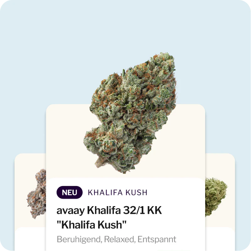Cannabis auf Rezept leicht gemacht